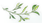 如何制定智能篮球训练计划_0